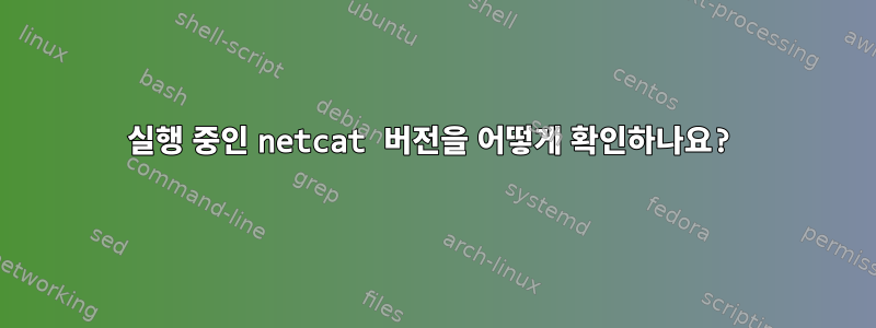 실행 중인 netcat 버전을 어떻게 확인하나요?