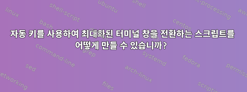 자동 키를 사용하여 최대화된 터미널 창을 전환하는 스크립트를 어떻게 만들 수 있습니까?