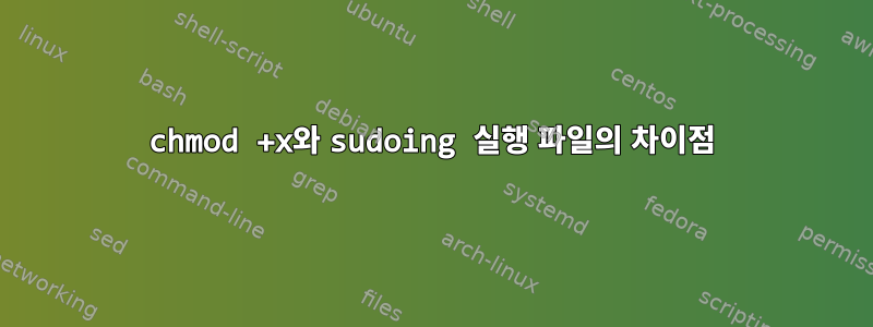 chmod +x와 sudoing 실행 파일의 차이점