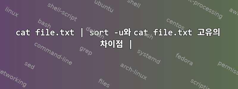 cat file.txt | sort -u와 cat file.txt 고유의 차이점 |