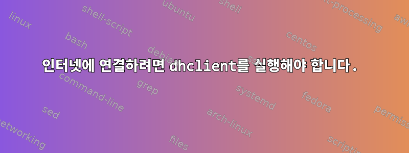 인터넷에 연결하려면 dhclient를 실행해야 합니다.