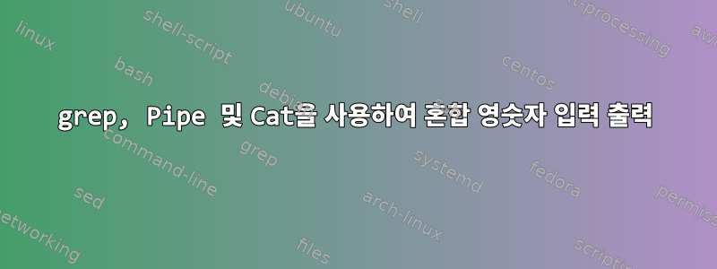 grep, Pipe 및 Cat을 사용하여 혼합 영숫자 입력 출력