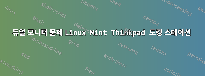 듀얼 모니터 문제 Linux Mint Thinkpad 도킹 스테이션