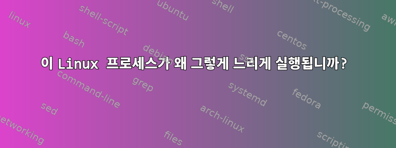 이 Linux 프로세스가 왜 그렇게 느리게 실행됩니까?