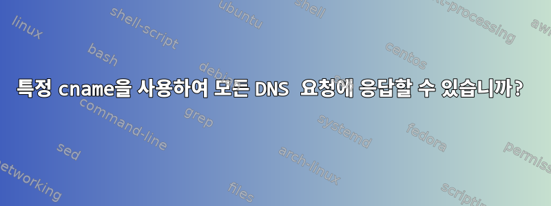 특정 cname을 사용하여 모든 DNS 요청에 응답할 수 있습니까?