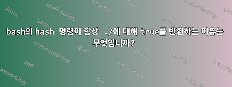 bash의 hash 명령이 항상 ./에 대해 true를 반환하는 이유는 무엇입니까?