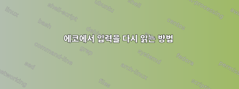 에코에서 입력을 다시 읽는 방법