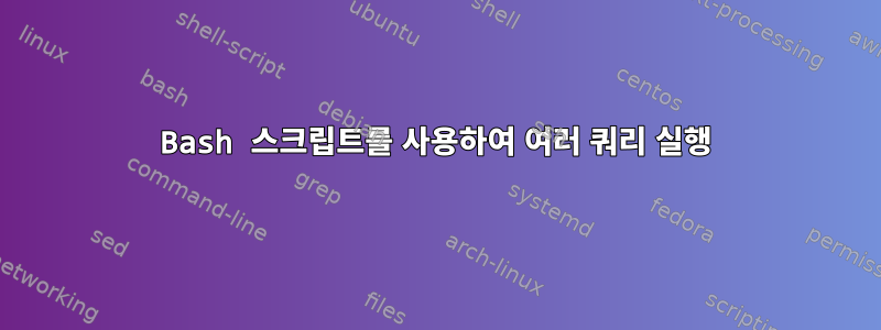 Bash 스크립트를 사용하여 여러 쿼리 실행