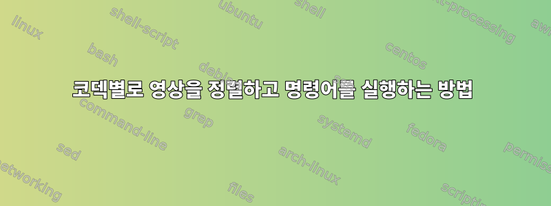 코덱별로 영상을 정렬하고 명령어를 실행하는 방법