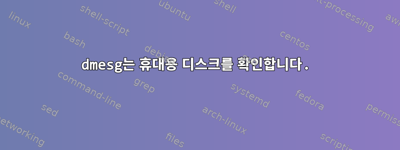 dmesg는 휴대용 디스크를 확인합니다.