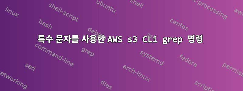 특수 문자를 사용한 AWS s3 CLi grep 명령