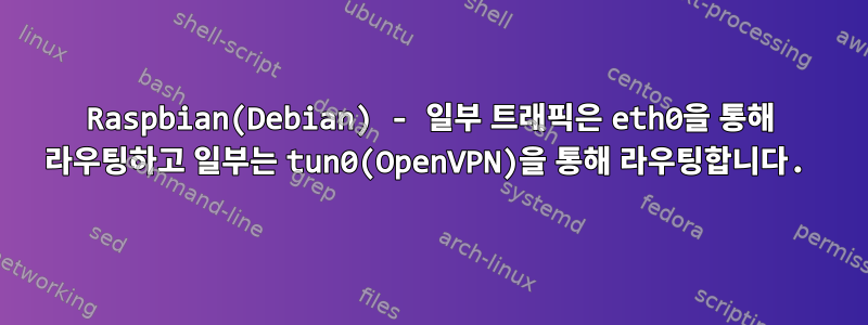 Raspbian(Debian) - 일부 트래픽은 eth0을 통해 라우팅하고 일부는 tun0(OpenVPN)을 통해 라우팅합니다.