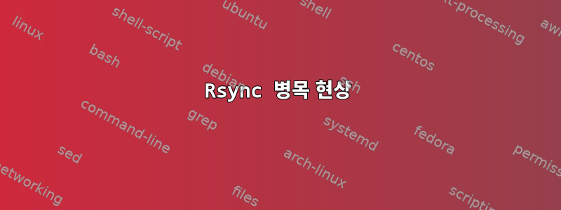 Rsync 병목 현상