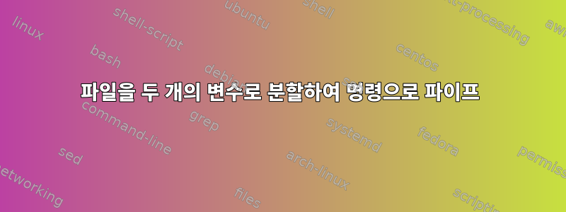 파일을 두 개의 변수로 분할하여 명령으로 파이프