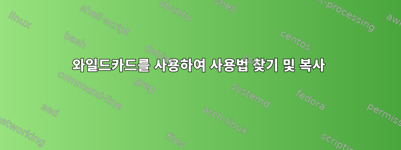 와일드카드를 사용하여 사용법 찾기 및 복사