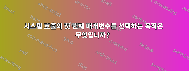 시스템 호출의 첫 번째 매개변수를 선택하는 목적은 무엇입니까?