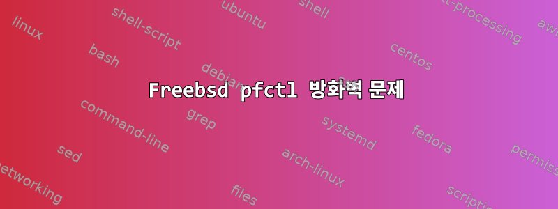 Freebsd pfctl 방화벽 문제