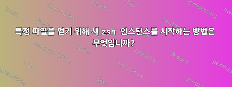 특정 파일을 얻기 위해 새 zsh 인스턴스를 시작하는 방법은 무엇입니까?