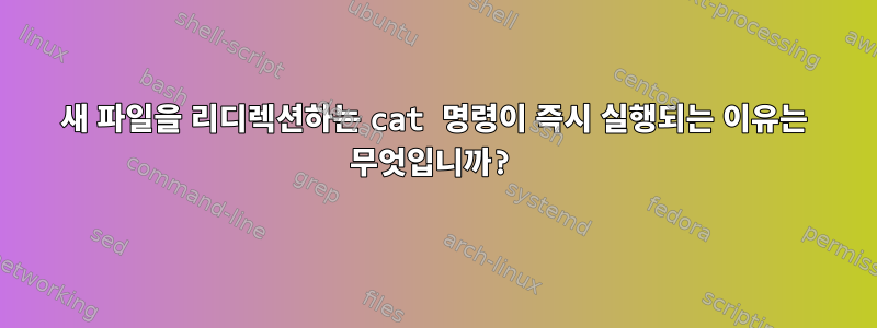 새 파일을 리디렉션하는 cat 명령이 즉시 실행되는 이유는 무엇입니까?