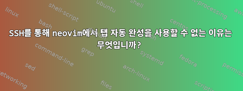 SSH를 통해 neovim에서 탭 자동 완성을 사용할 수 없는 이유는 무엇입니까?