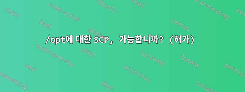 /opt에 대한 SCP, 가능합니까? (허가)