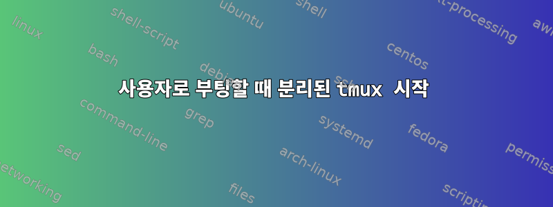 사용자로 부팅할 때 분리된 tmux 시작