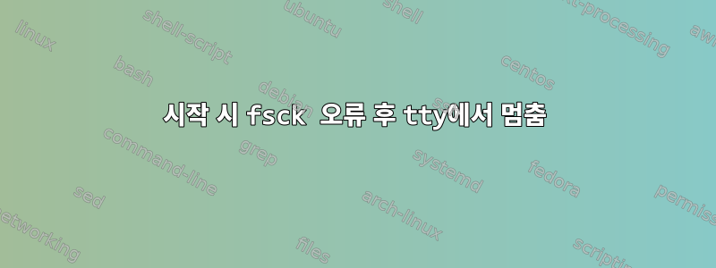 시작 시 fsck 오류 후 tty에서 멈춤