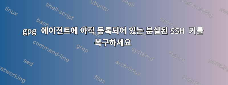 gpg 에이전트에 아직 등록되어 있는 분실된 SSH 키를 복구하세요