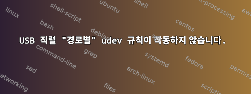 USB 직렬 "경로별" udev 규칙이 작동하지 않습니다.