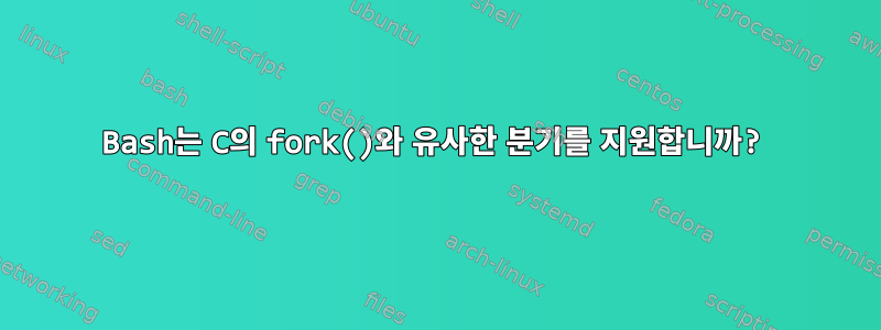 Bash는 C의 fork()와 유사한 분기를 지원합니까?