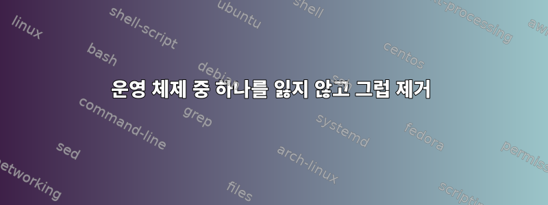 운영 체제 중 하나를 잃지 않고 그럽 제거