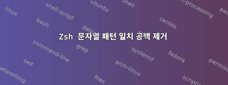 Zsh 문자열 패턴 일치 공백 제거