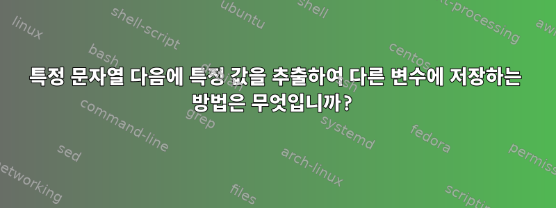 특정 문자열 다음에 특정 값을 추출하여 다른 변수에 저장하는 방법은 무엇입니까?