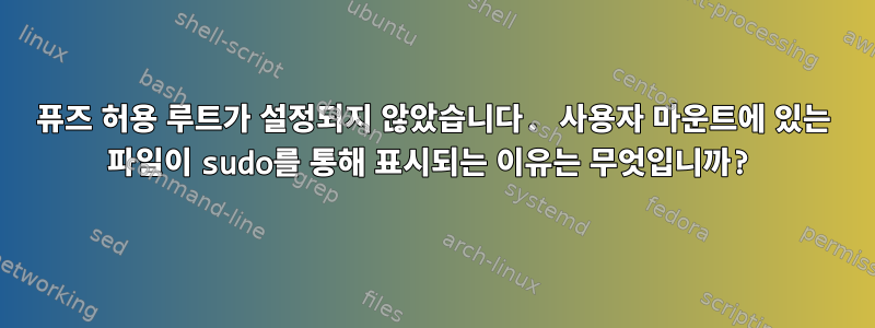 퓨즈 허용 루트가 설정되지 않았습니다. 사용자 마운트에 있는 파일이 sudo를 통해 표시되는 이유는 무엇입니까?