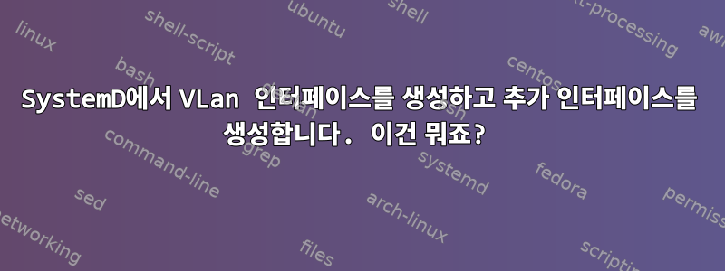 SystemD에서 VLan 인터페이스를 생성하고 추가 인터페이스를 생성합니다. 이건 뭐죠?