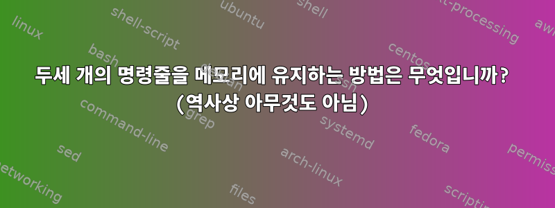 두세 개의 명령줄을 메모리에 유지하는 방법은 무엇입니까? (역사상 아무것도 아님)