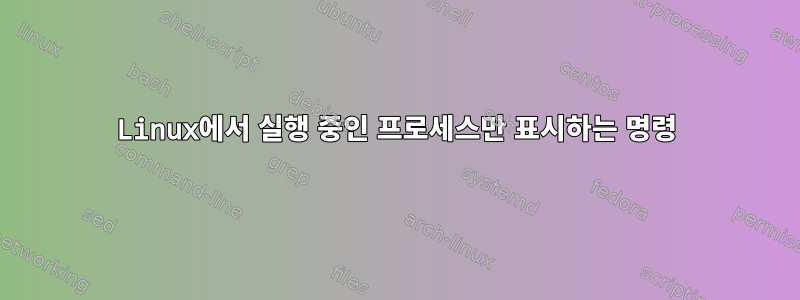 Linux에서 실행 중인 프로세스만 표시하는 명령