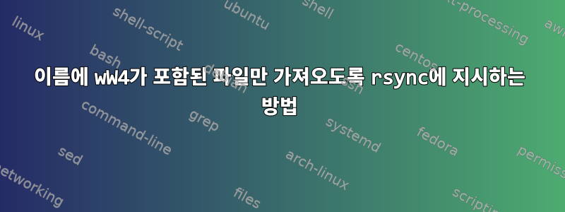 이름에 wW4가 포함된 파일만 가져오도록 rsync에 지시하는 방법