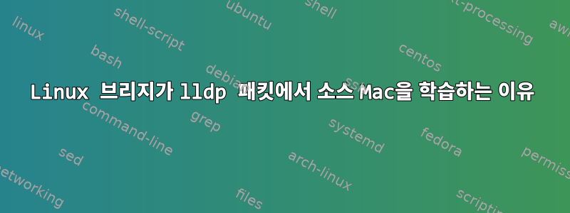 Linux 브리지가 lldp 패킷에서 소스 Mac을 학습하는 이유