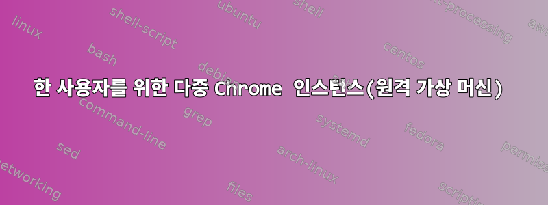 한 사용자를 위한 다중 Chrome 인스턴스(원격 가상 머신)