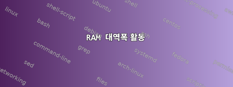 RAM 대역폭 활동