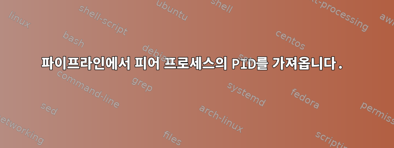 파이프라인에서 피어 프로세스의 PID를 가져옵니다.