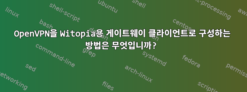 OpenVPN을 Witopia용 게이트웨이 클라이언트로 구성하는 방법은 무엇입니까?