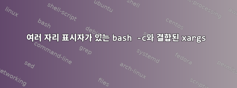 여러 자리 표시자가 있는 bash -c와 결합된 xargs