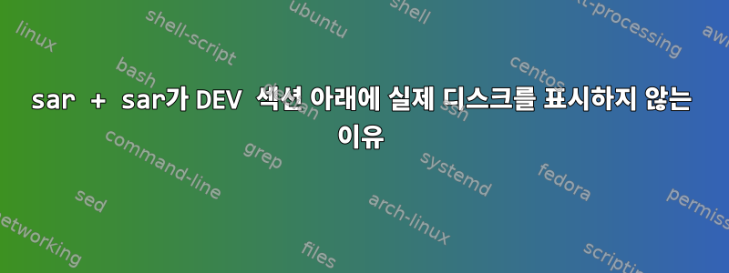 sar + sar가 DEV 섹션 아래에 실제 디스크를 표시하지 않는 이유