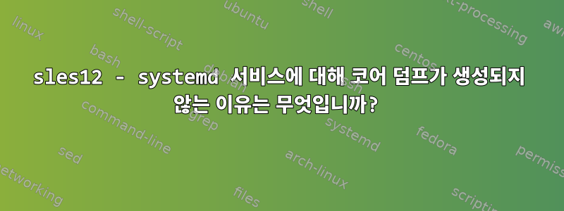 sles12 - systemd 서비스에 대해 코어 덤프가 생성되지 않는 이유는 무엇입니까?