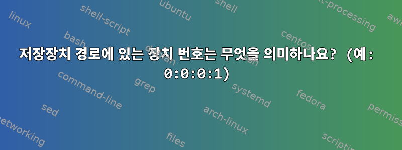 저장장치 경로에 있는 장치 번호는 무엇을 의미하나요? (예: 0:0:0:1)