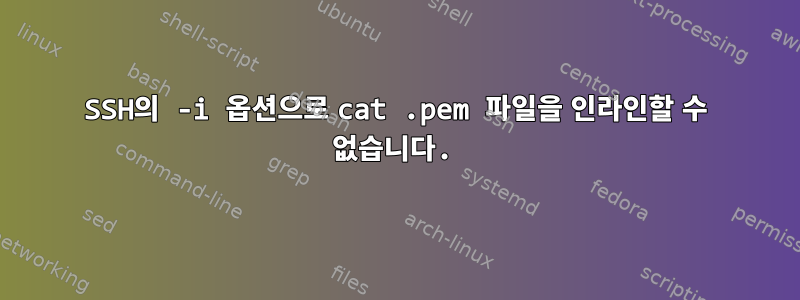 SSH의 -i 옵션으로 cat .pem 파일을 인라인할 수 없습니다.