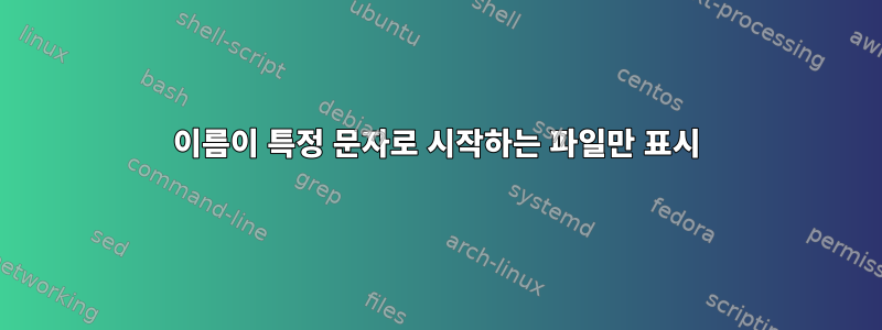 이름이 특정 문자로 시작하는 파일만 표시