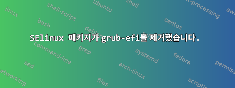 SElinux 패키지가 grub-efi를 제거했습니다.